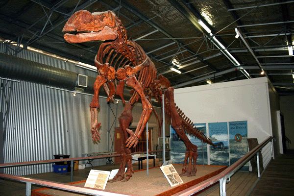 Muttaburrasaurus