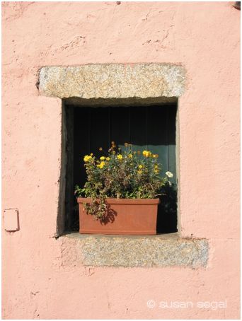 Cinque Terra